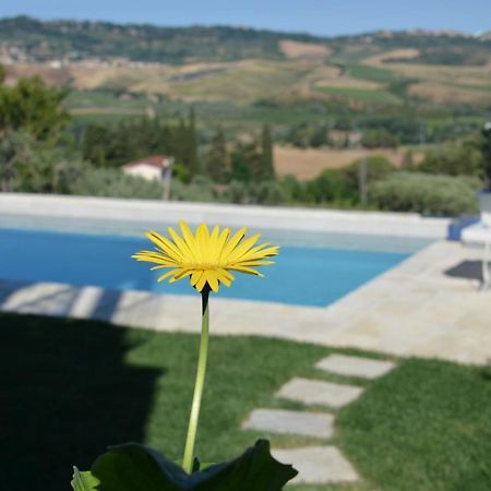 شقة Casa Magnolia Terricciola المظهر الخارجي الصورة
